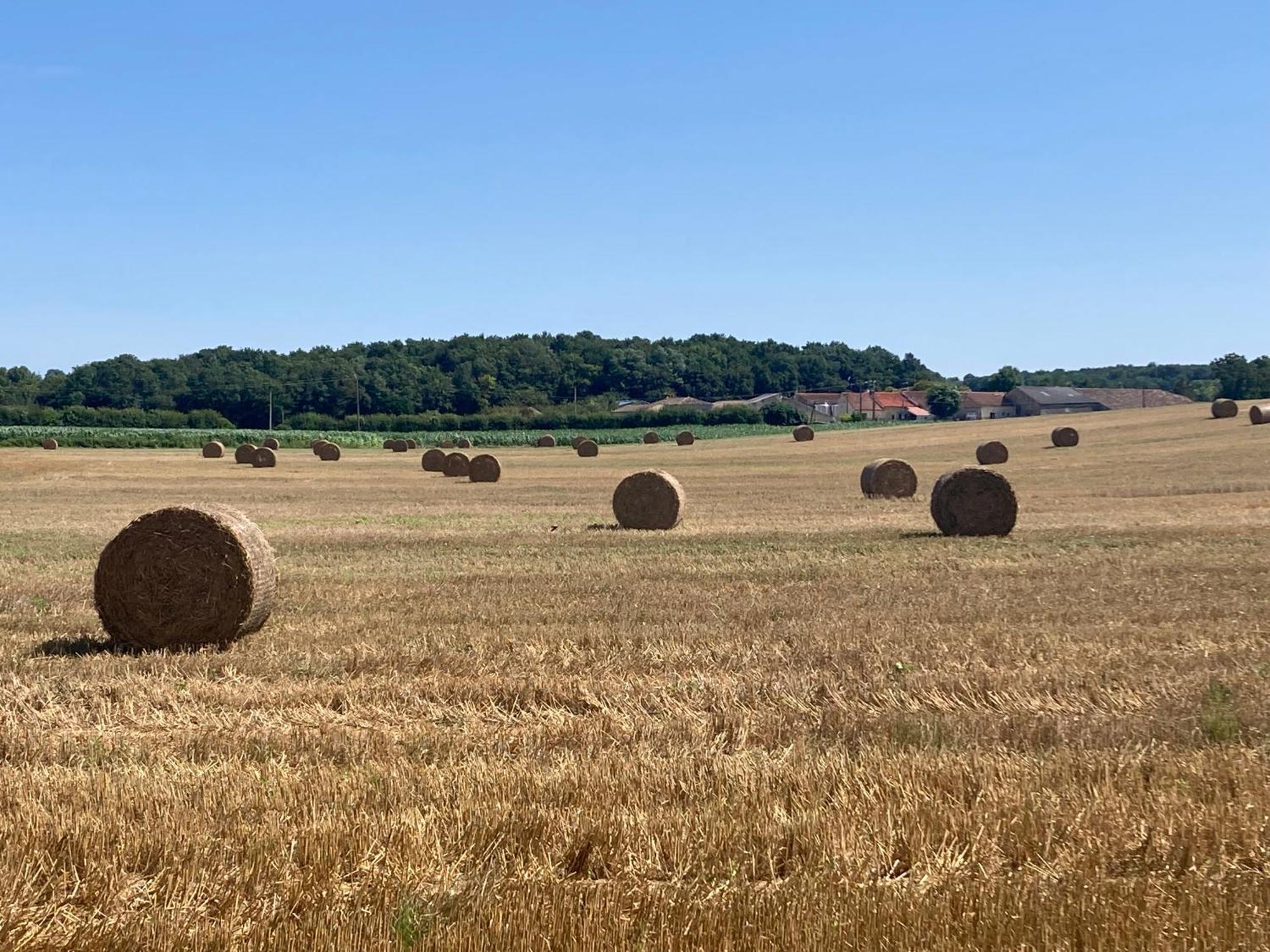 Appartamento Les Ganivelles Saint-Dizant-du-Gua Esterno foto